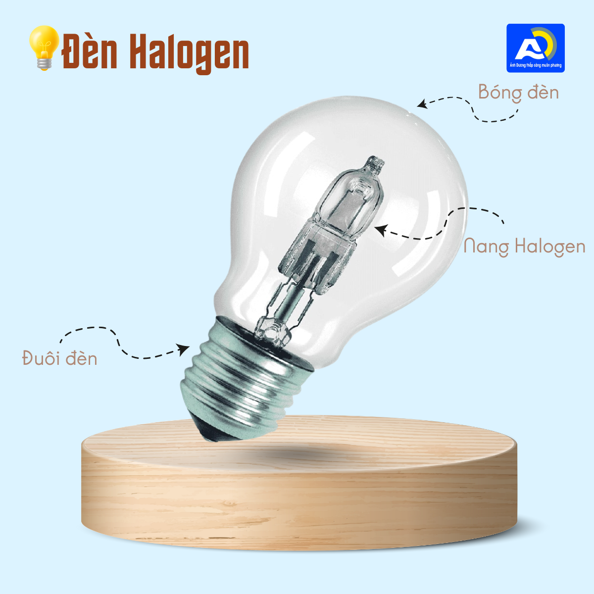 cấu tạo đèn Halogen