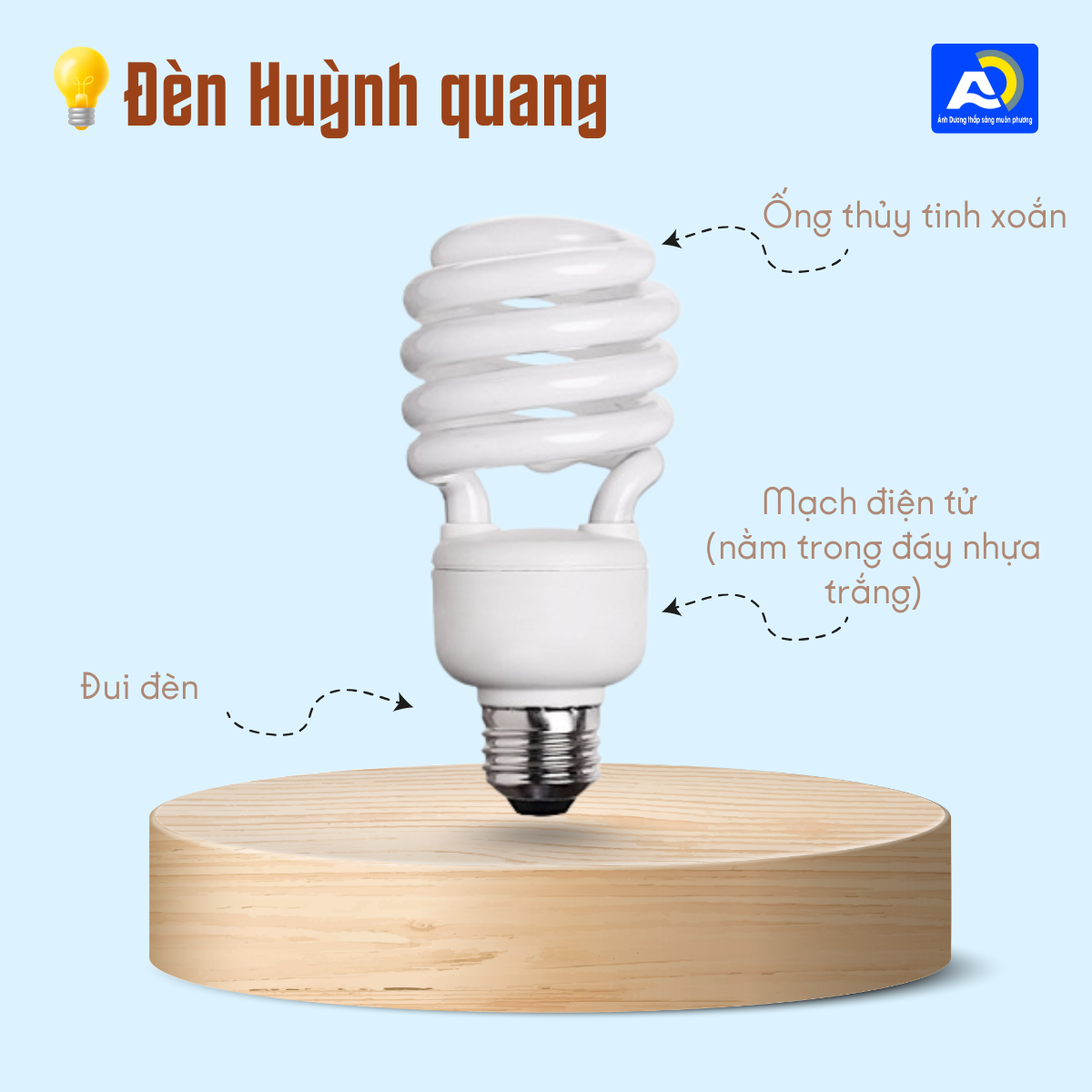 Cấu tạo của bóng đèn huỳnh quang