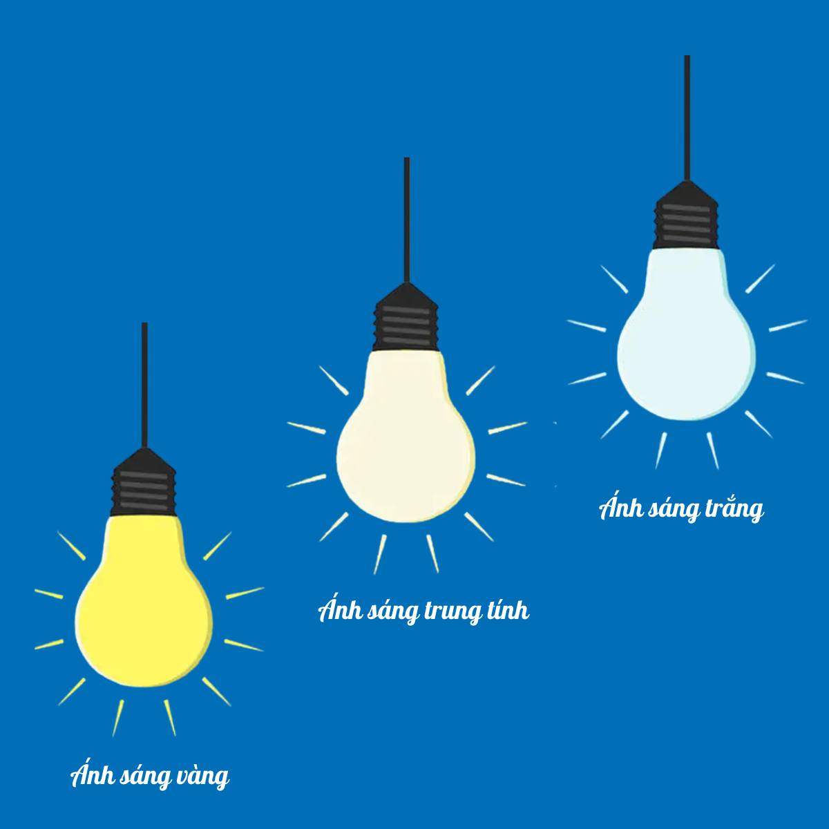 Nhiệt độ màu là gì? Cách chọn đèn có nhiệt độ phù hợp Phân biệt nhiệt độ màu của các loại đèn