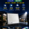 Đèn LED Chiếu Pha Siêu Mỏng PANAMAX 50W 3 1